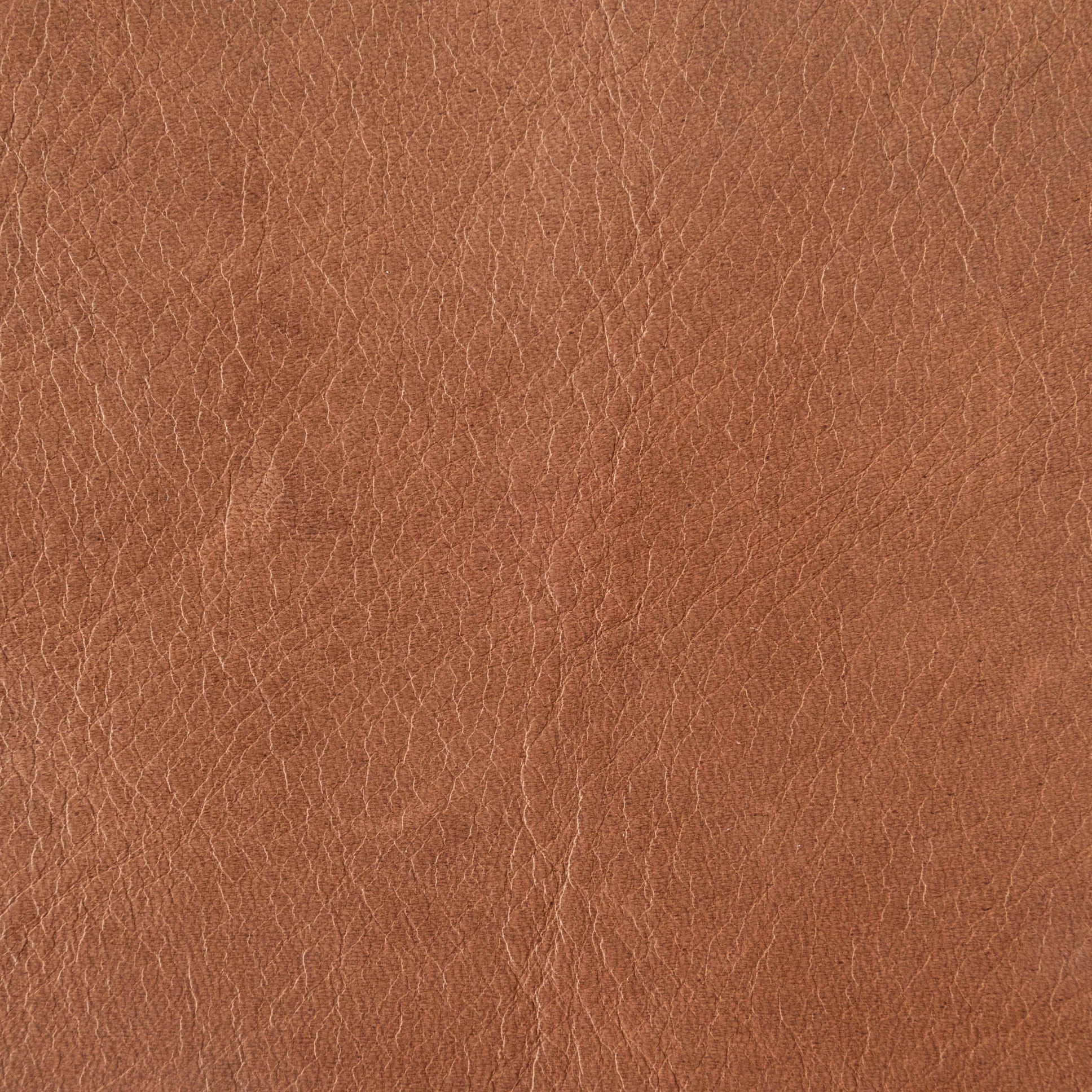 Bark