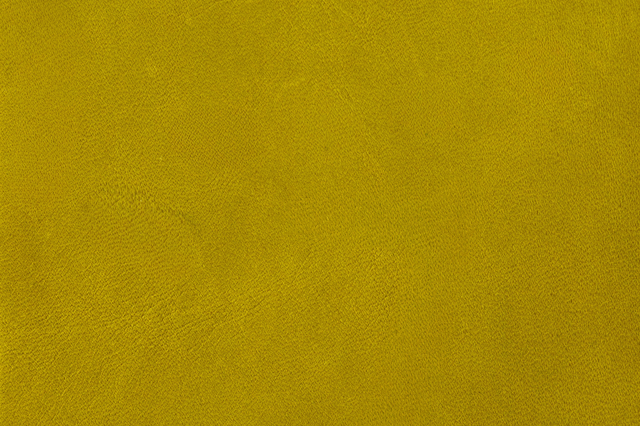 Cardamom