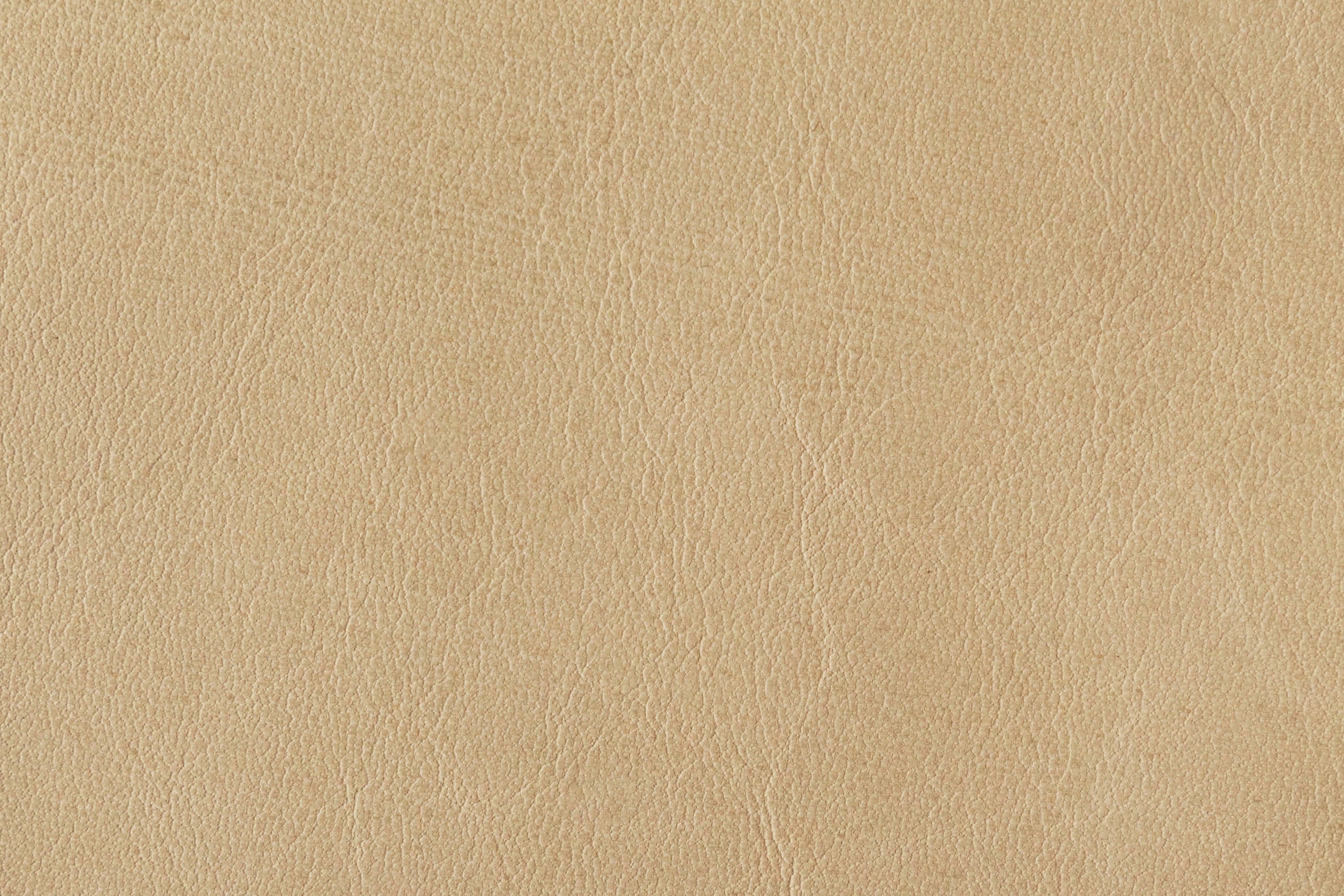 Desert