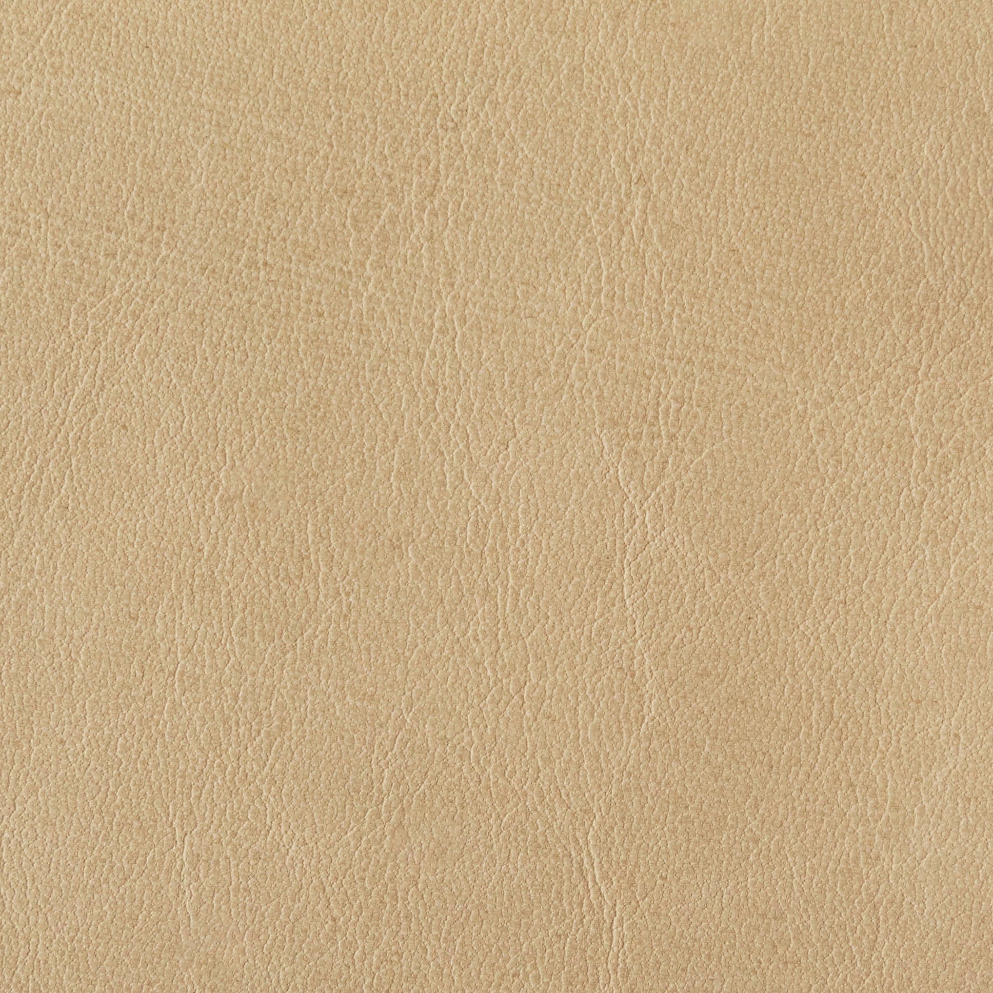 Desert