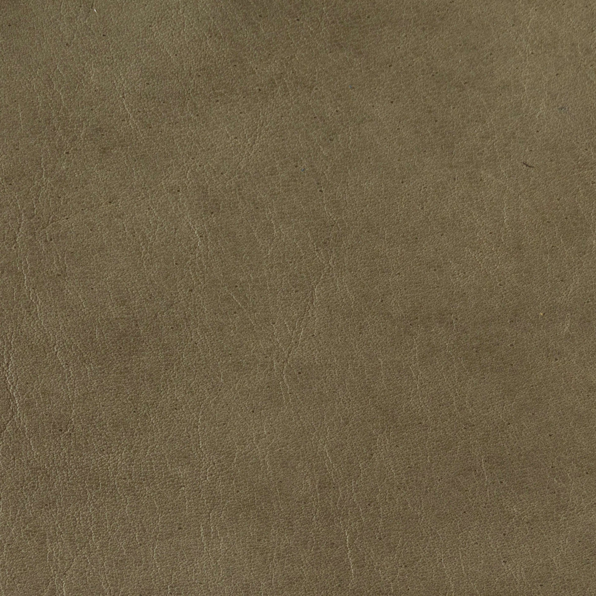 Light Olive
