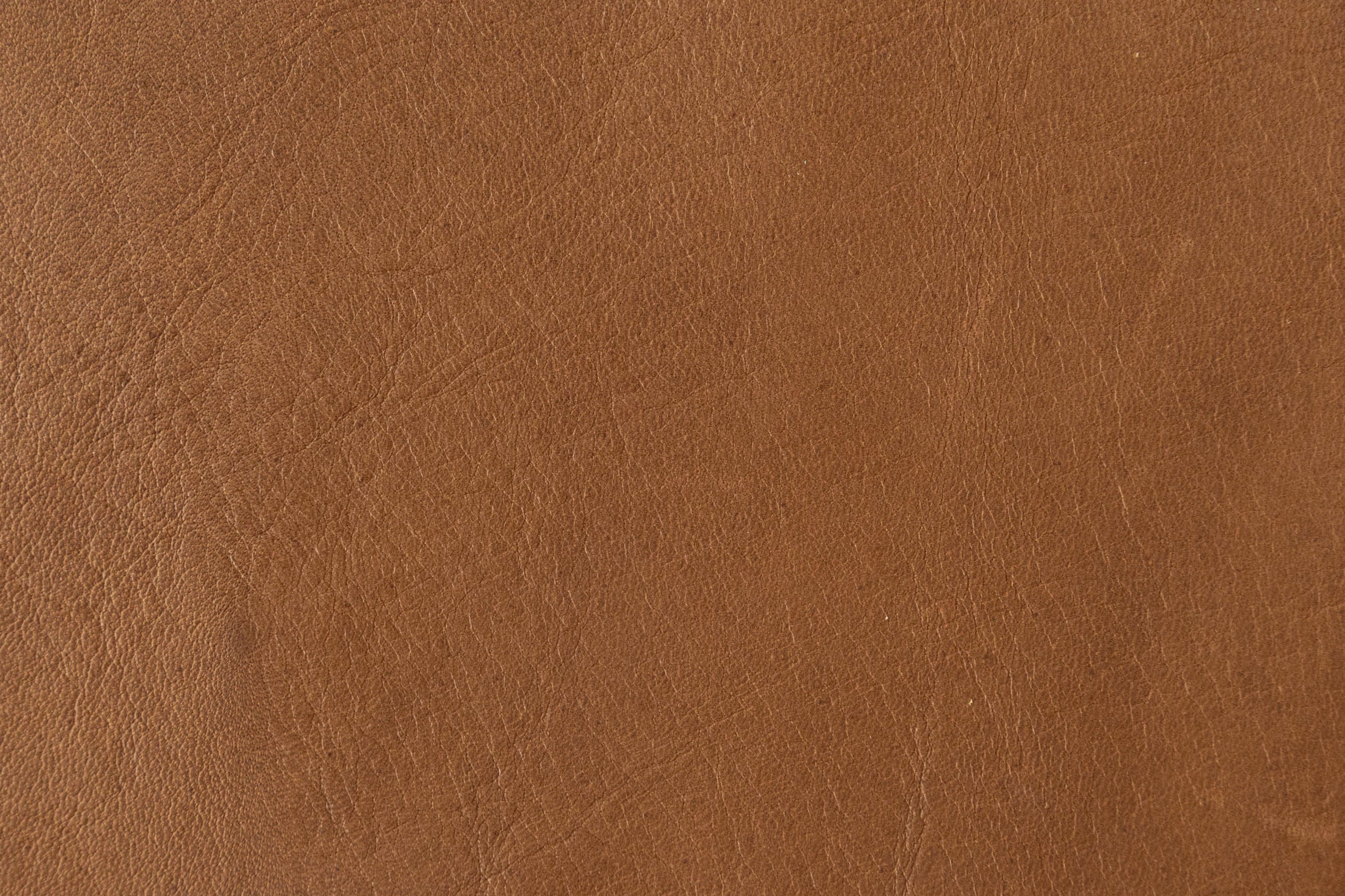 Mocha
