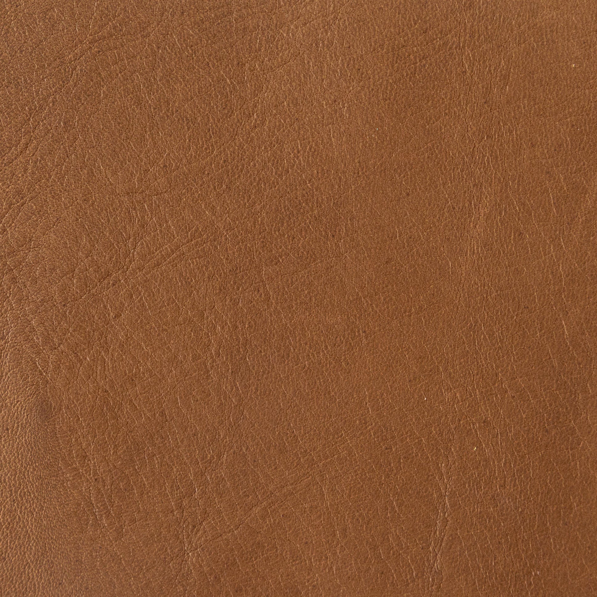 Mocha