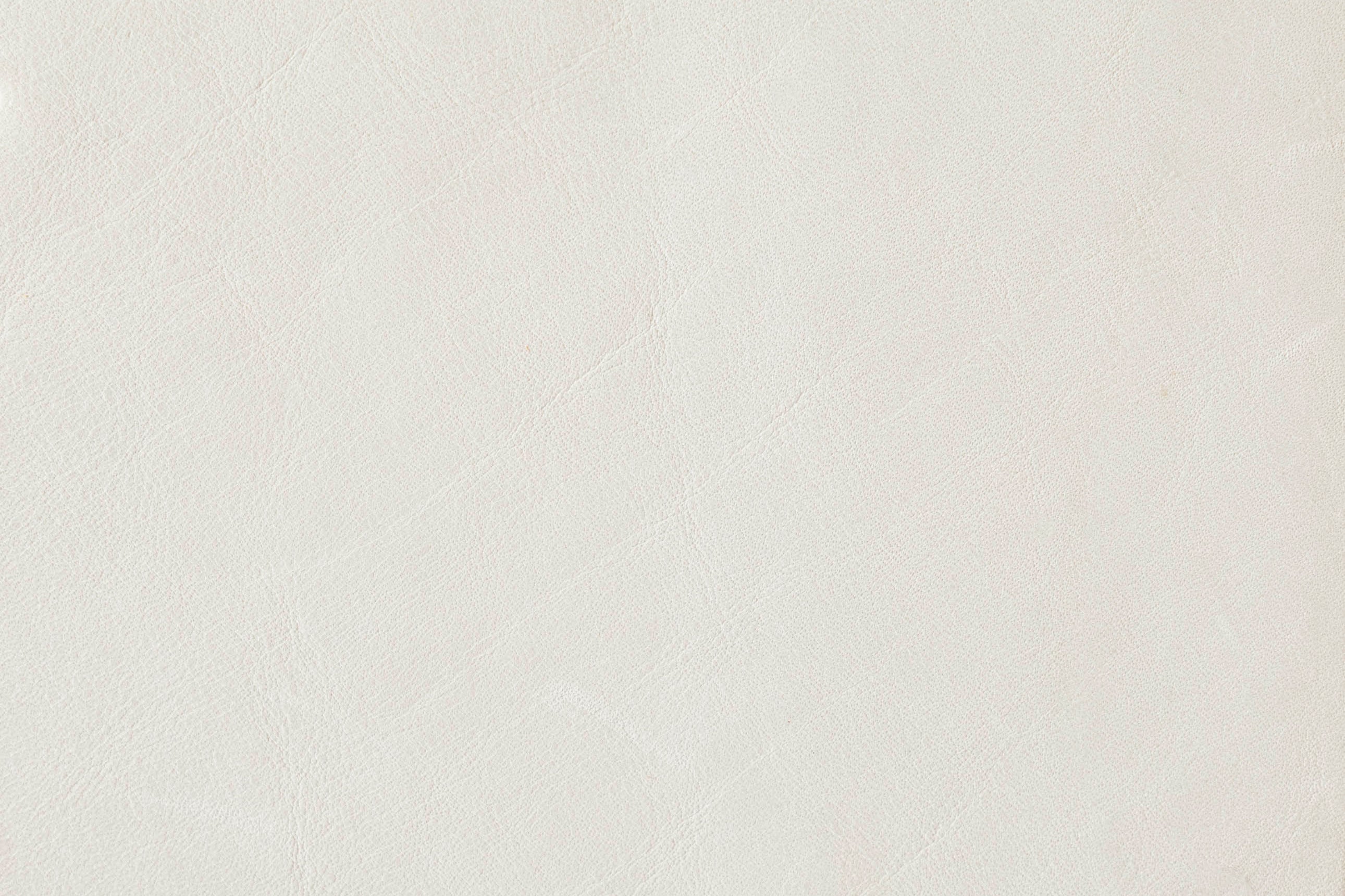 Parchment
