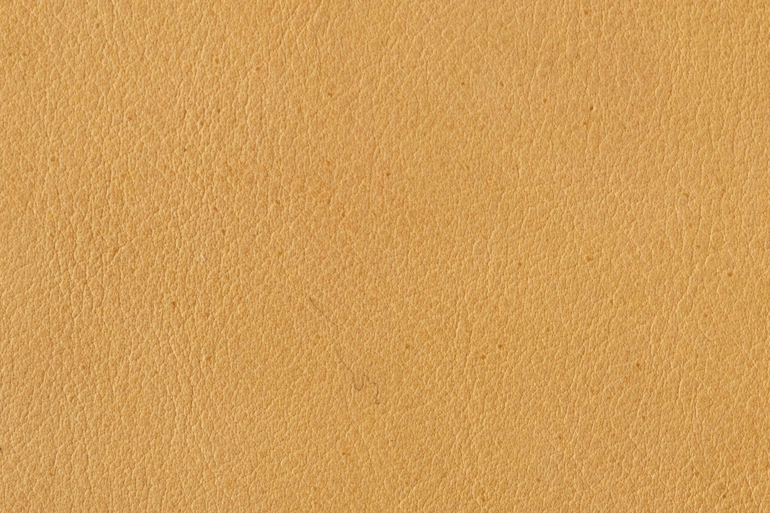 Sahara