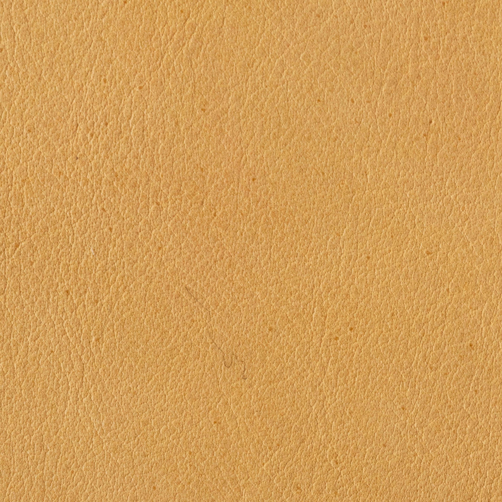 Sahara