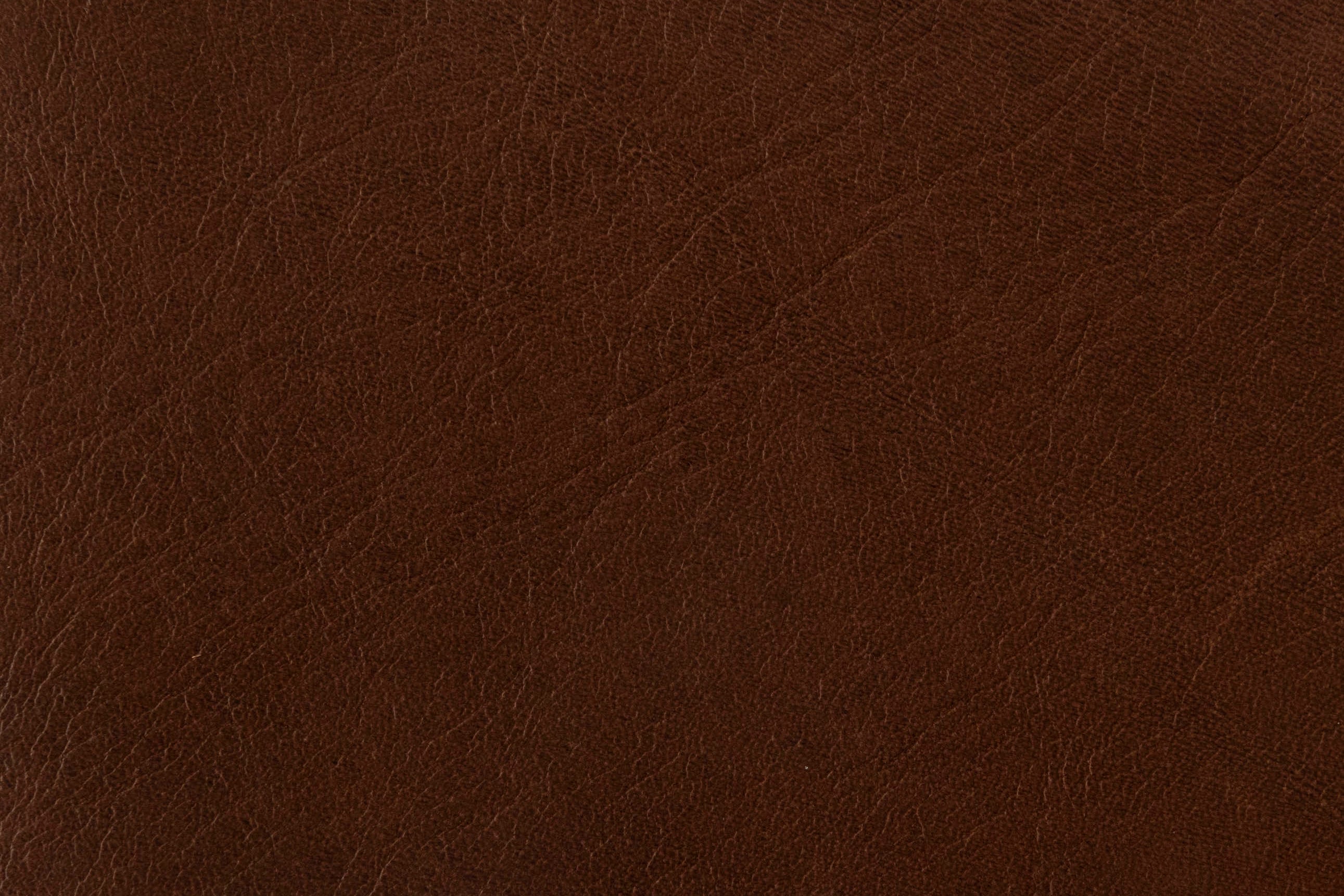 Teak