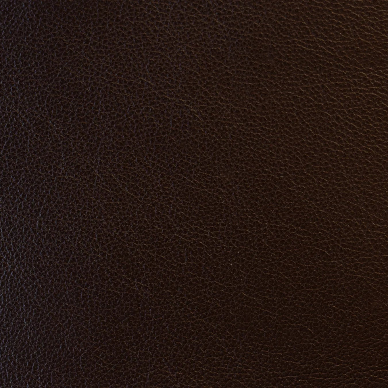 Impression - The Tannery Row
