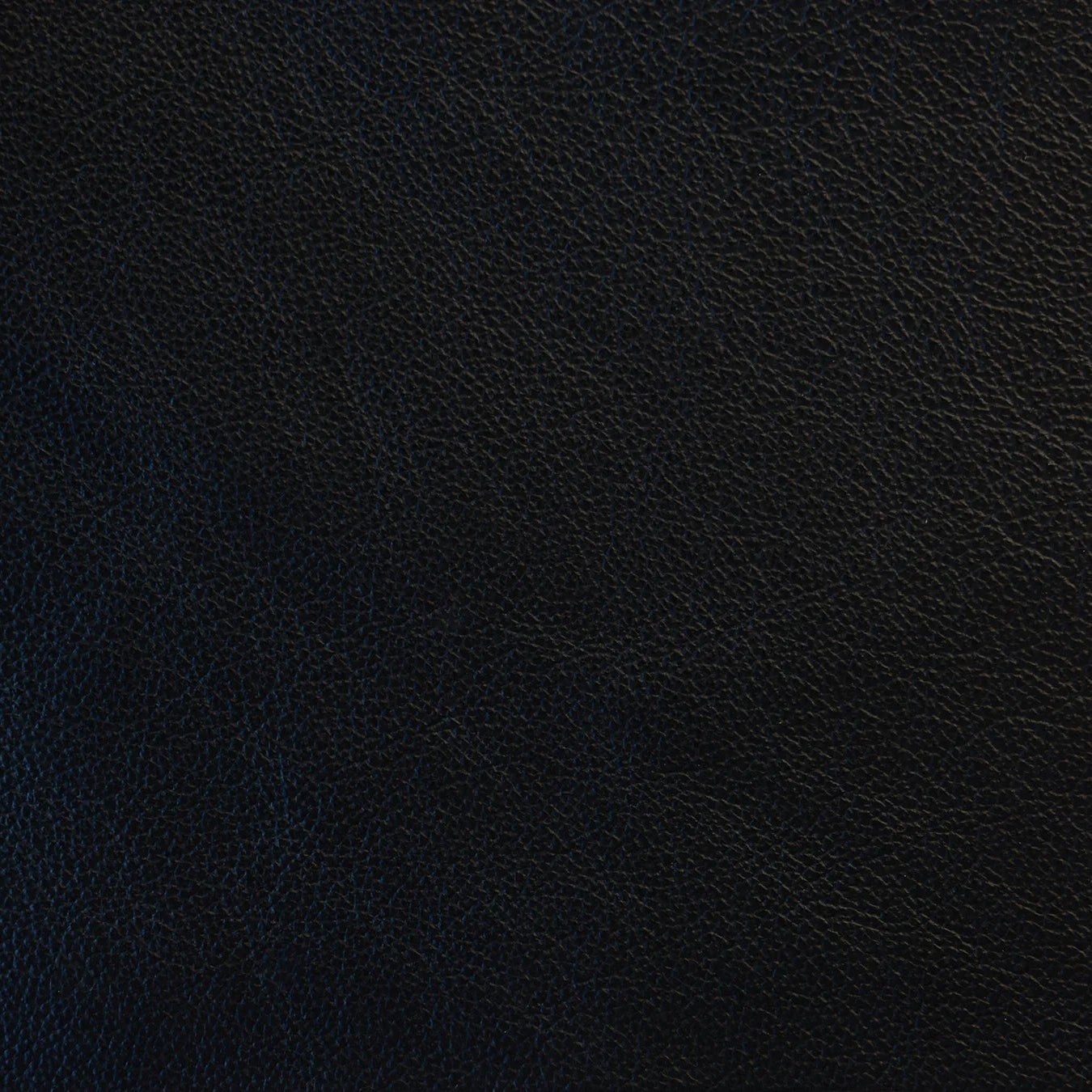 Impression - The Tannery Row