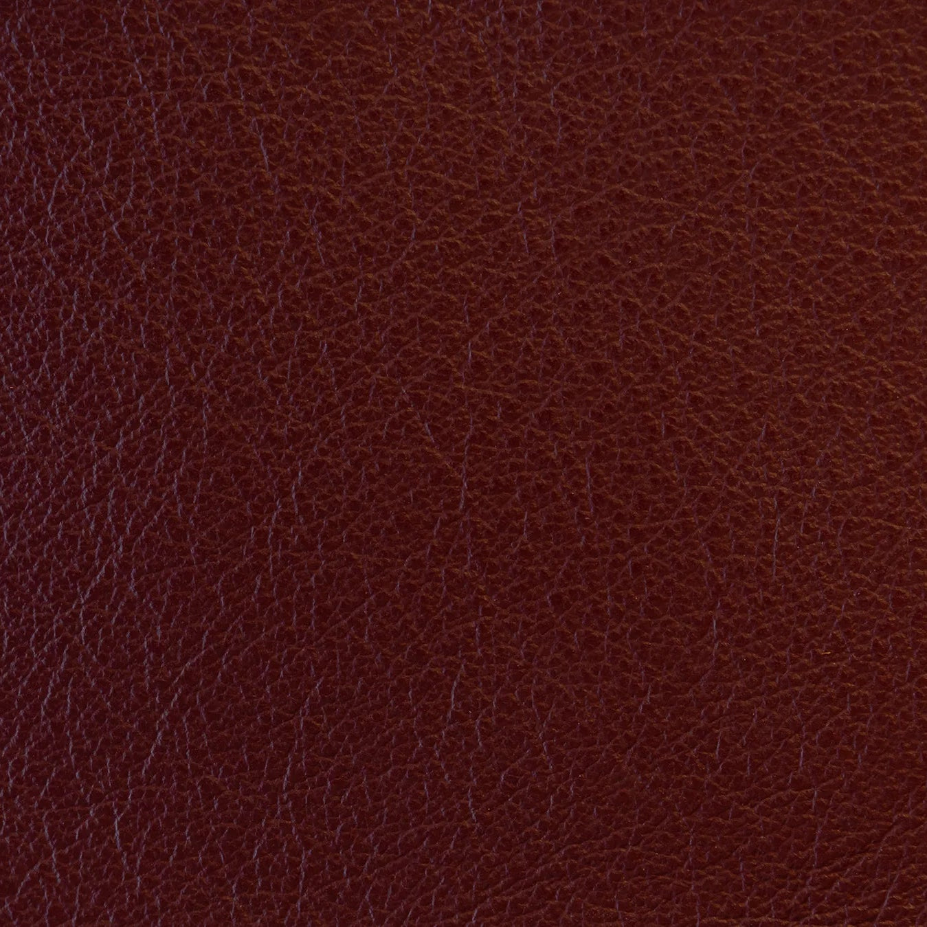 Impression - The Tannery Row