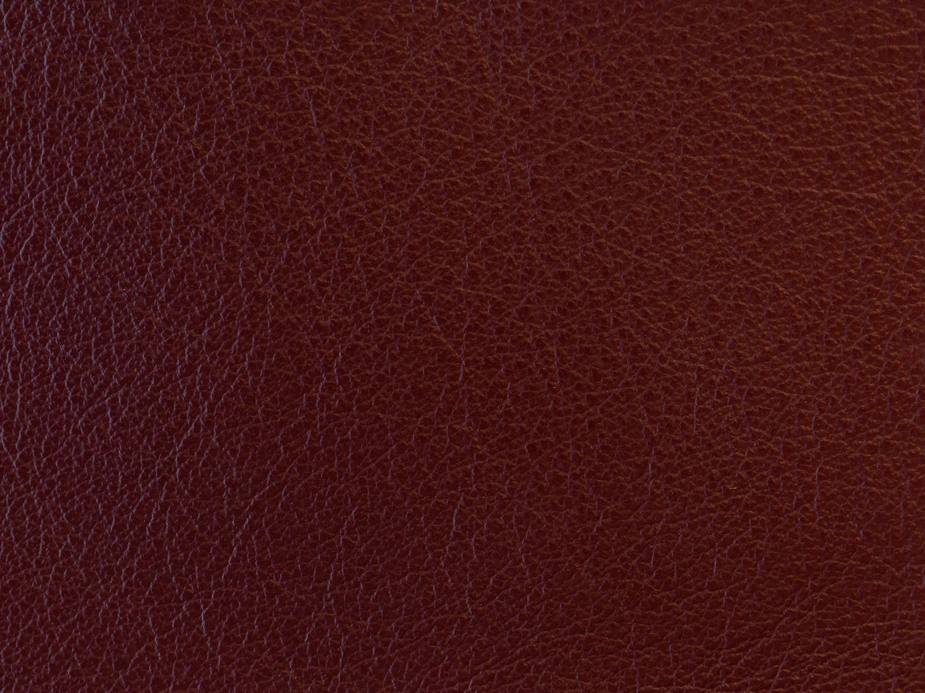 Impression - The Tannery Row