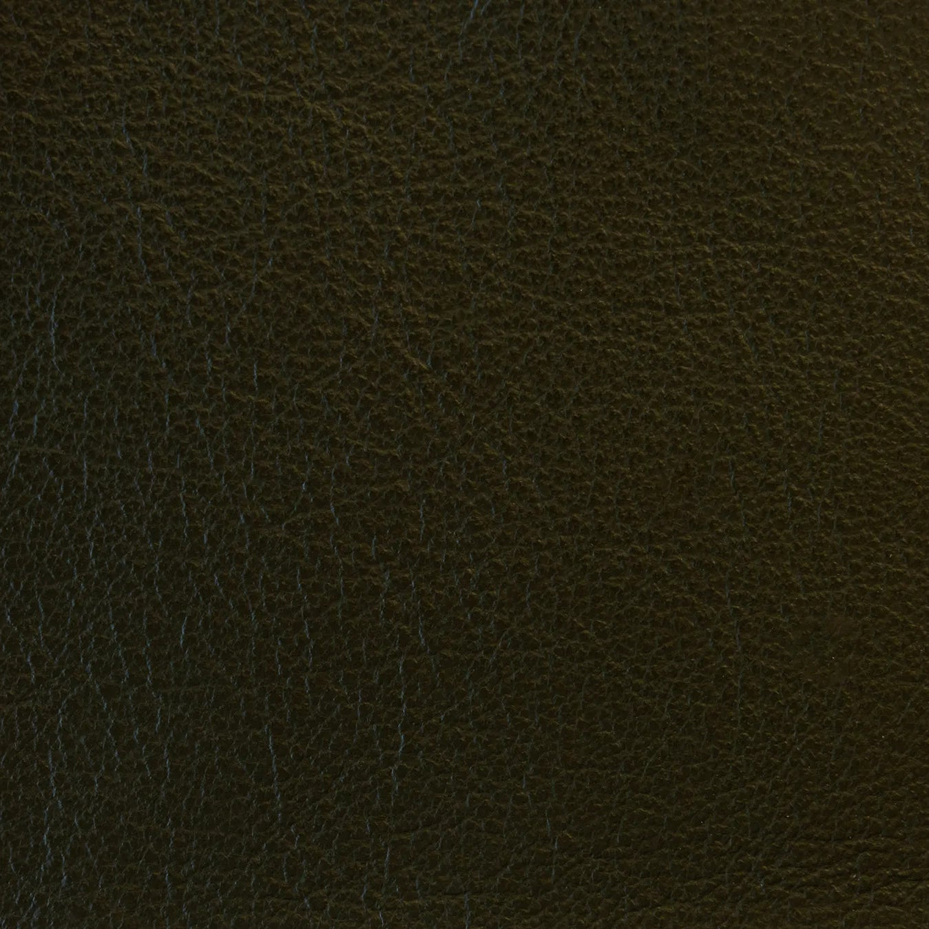 Impression - The Tannery Row