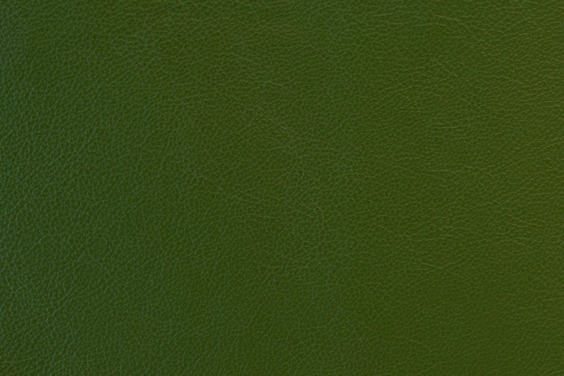 Impression - The Tannery Row