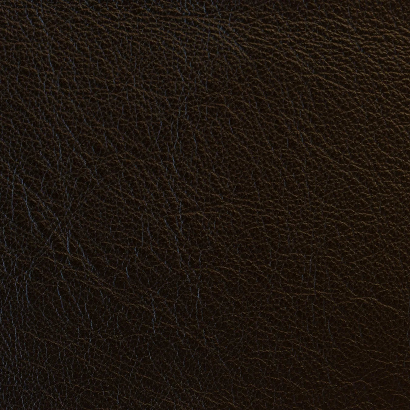 Impression - The Tannery Row