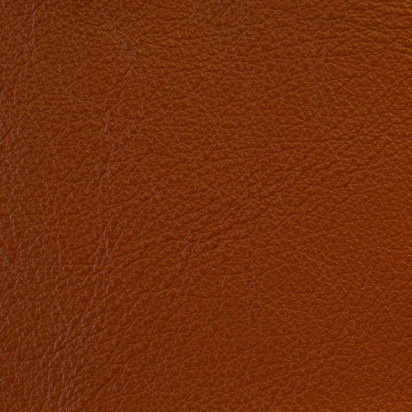 Impression - The Tannery Row