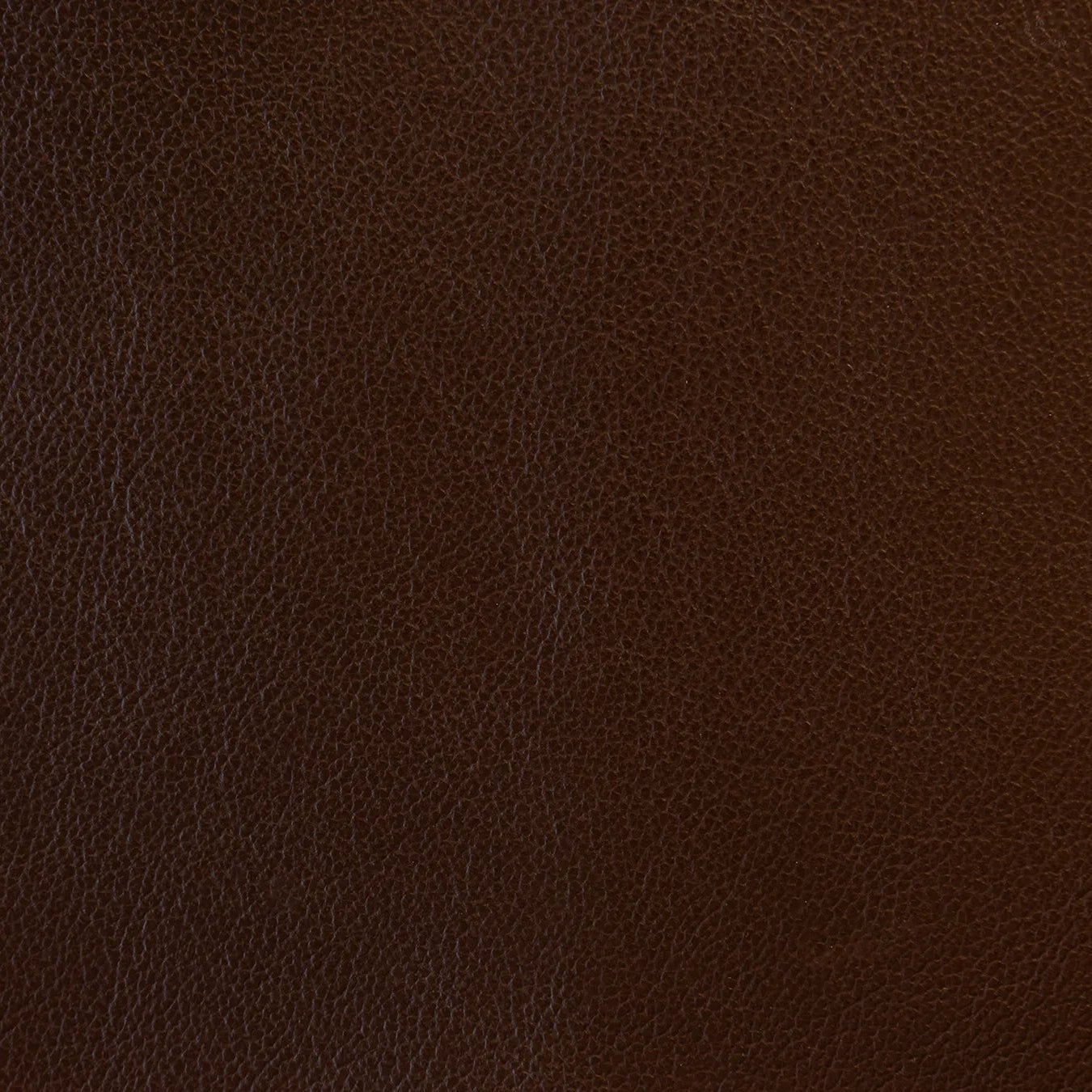 Impression - The Tannery Row
