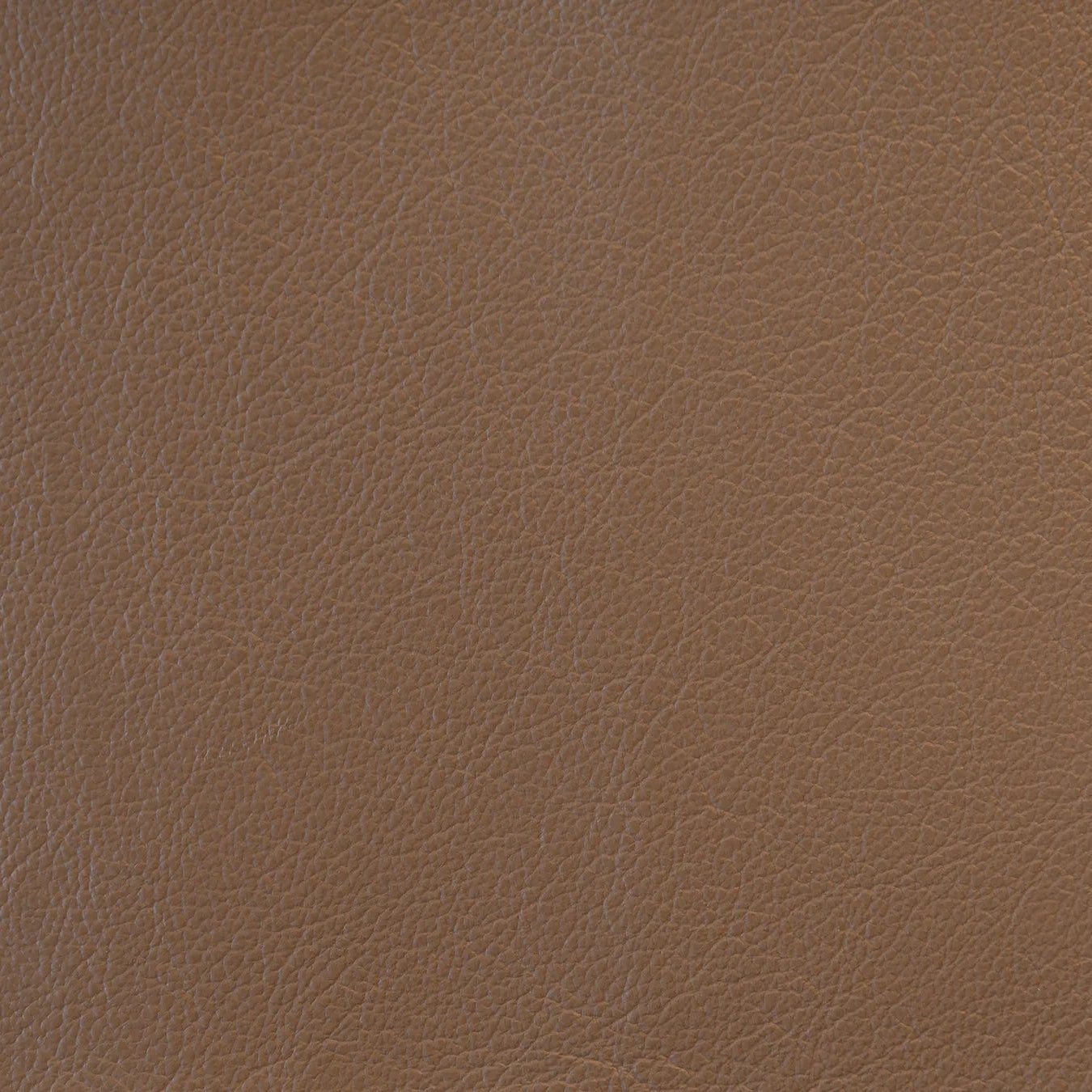 Impression - The Tannery Row