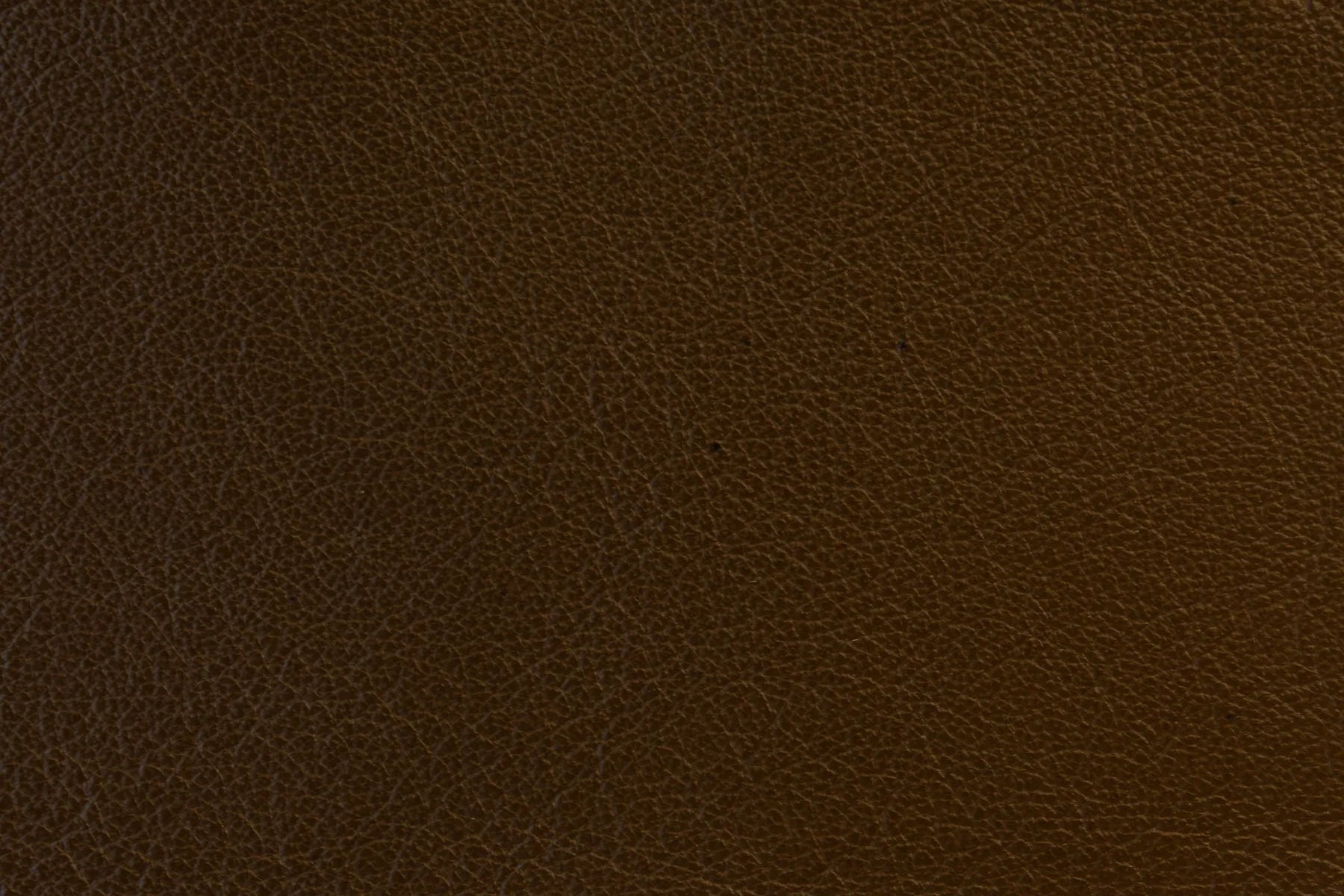 Impression - The Tannery Row