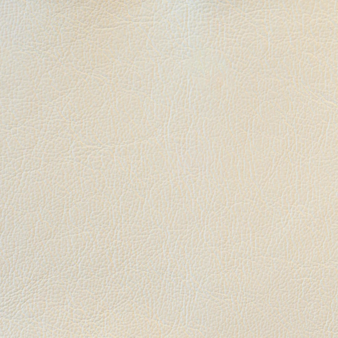 Impression - The Tannery Row