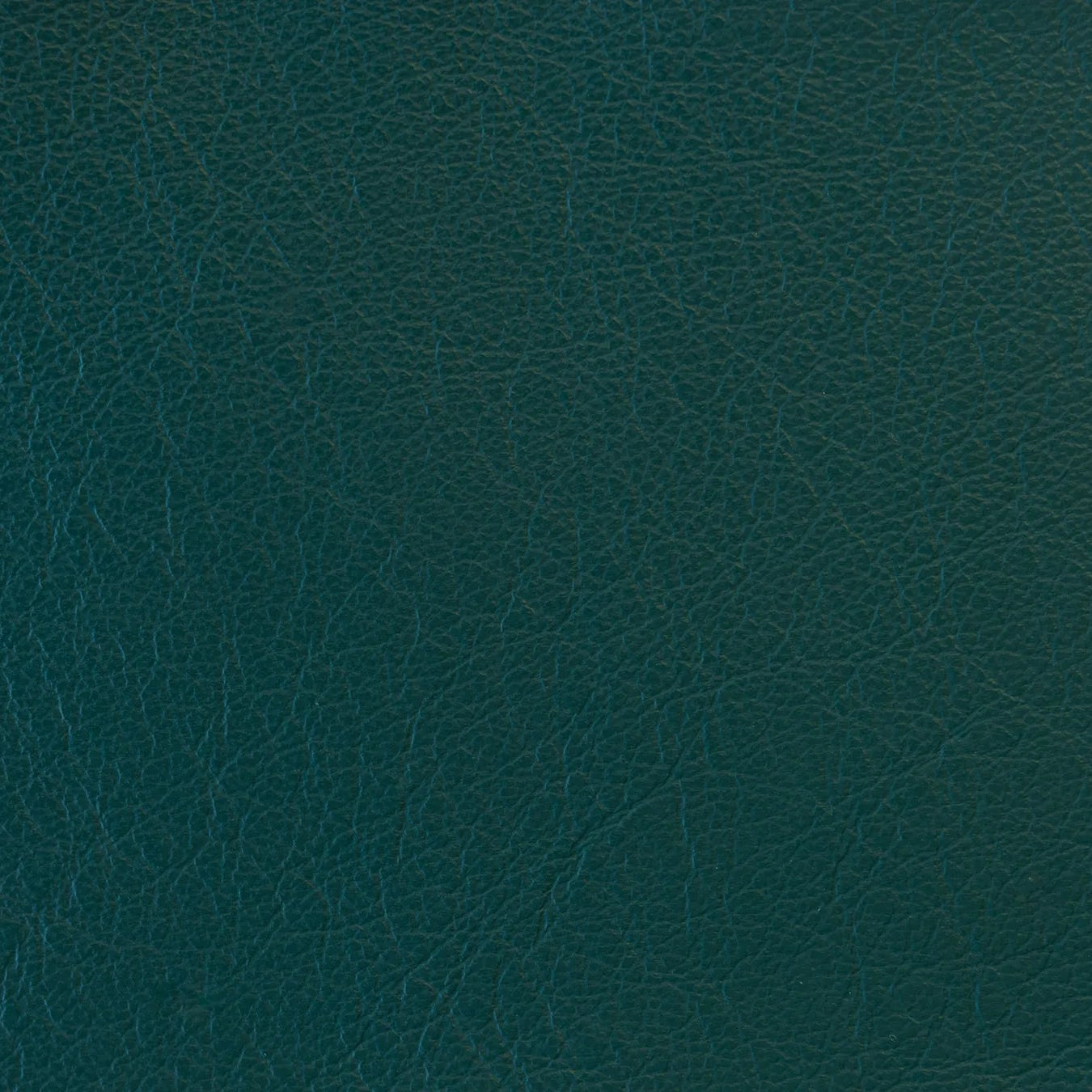 Impression - The Tannery Row