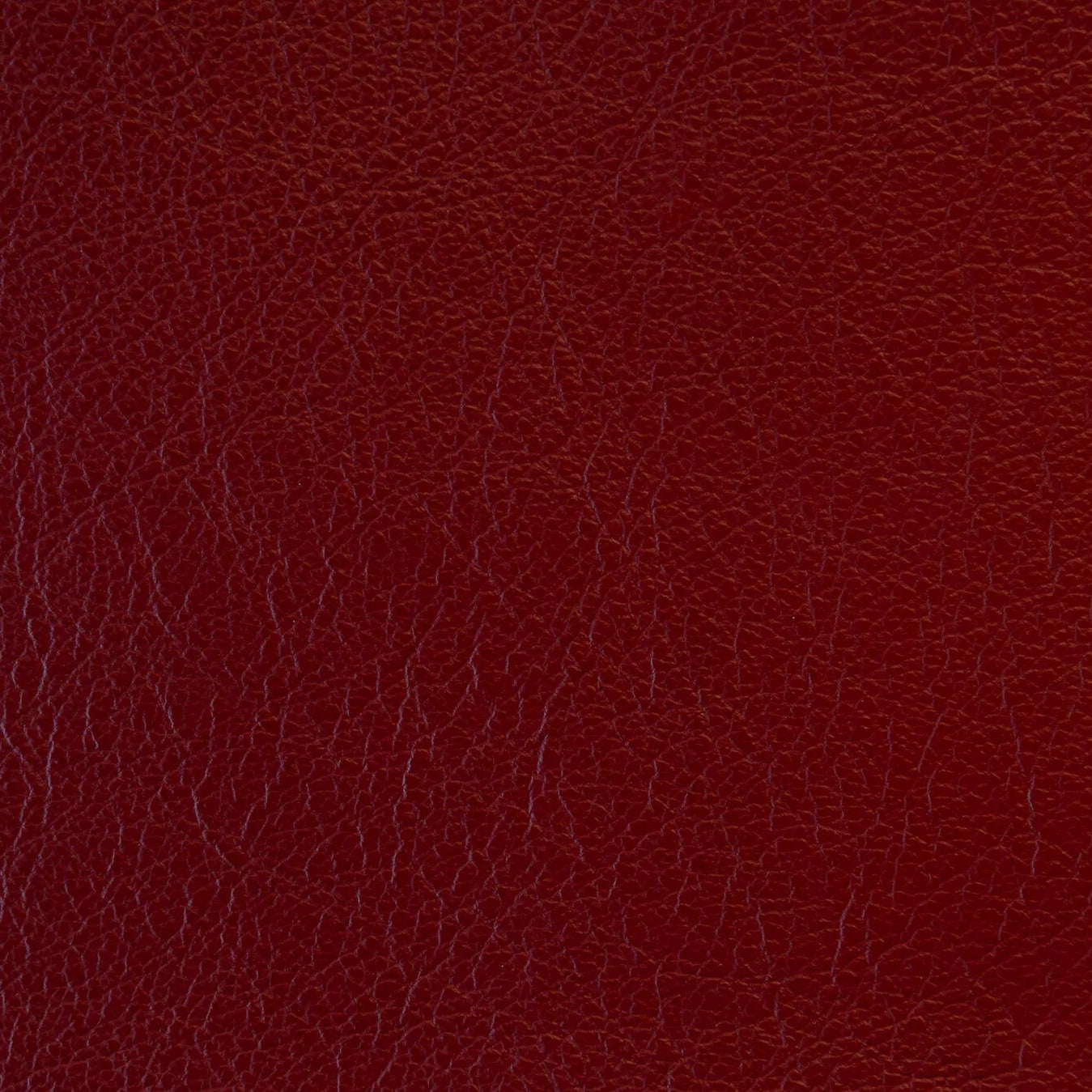 Impression - The Tannery Row