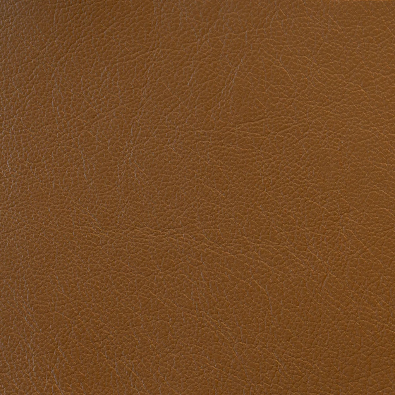 Impression - The Tannery Row