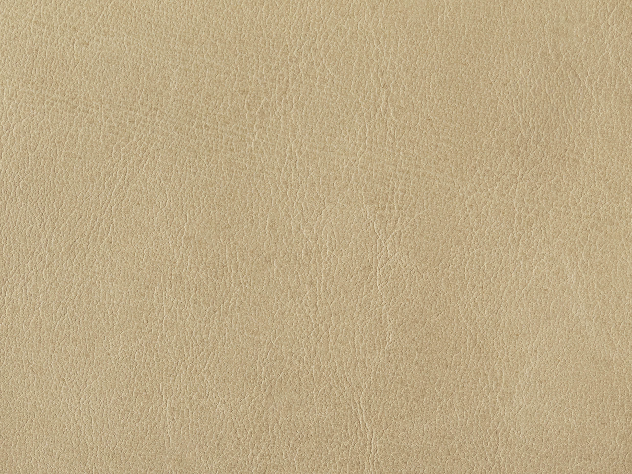 Desert