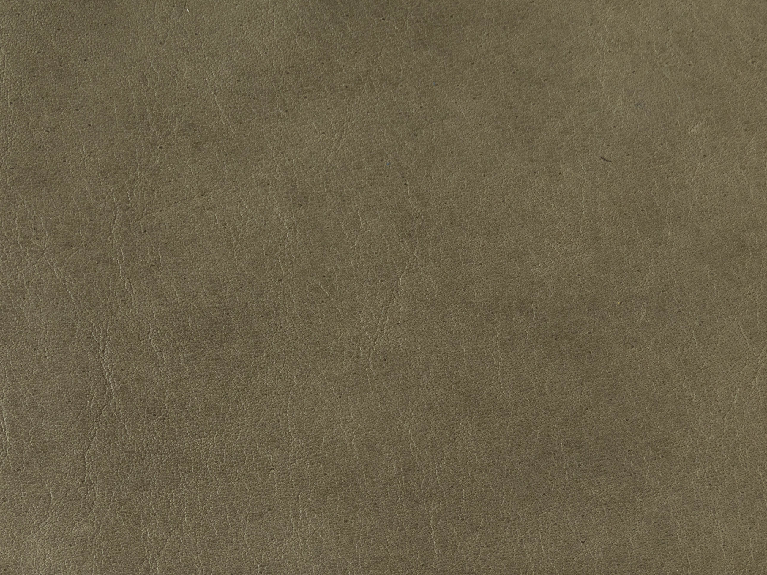 Light Olive