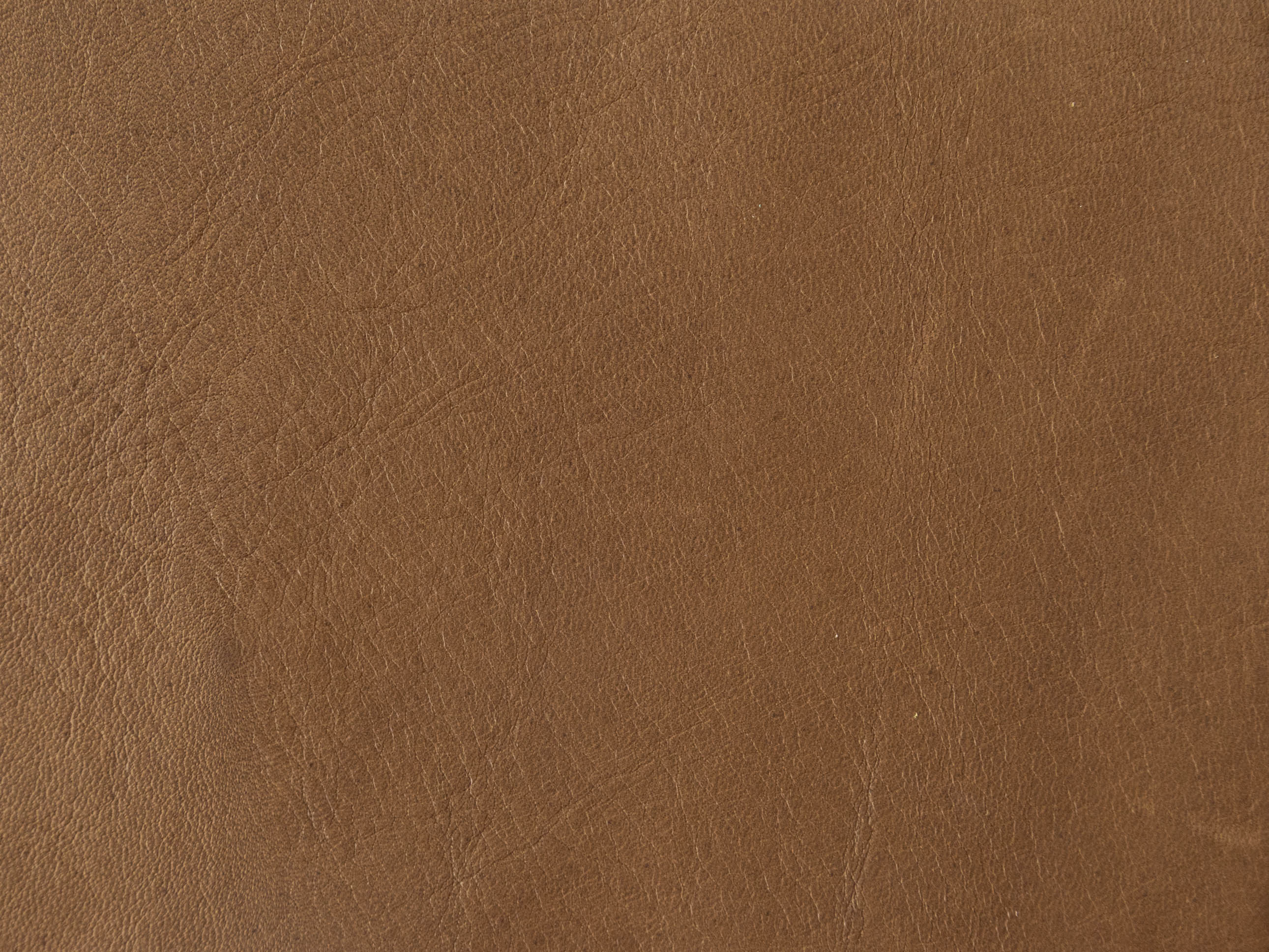 Mocha