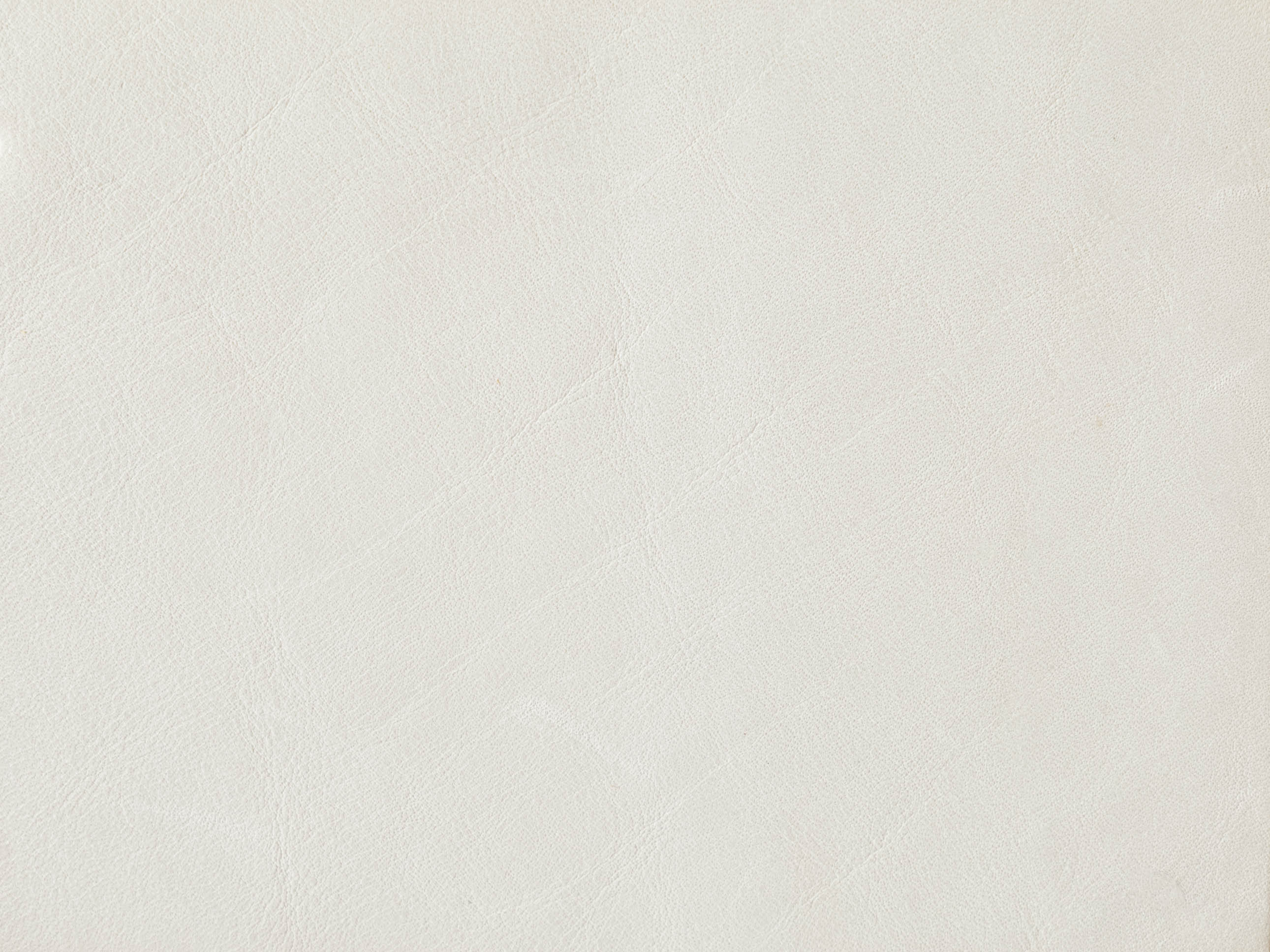 Parchment