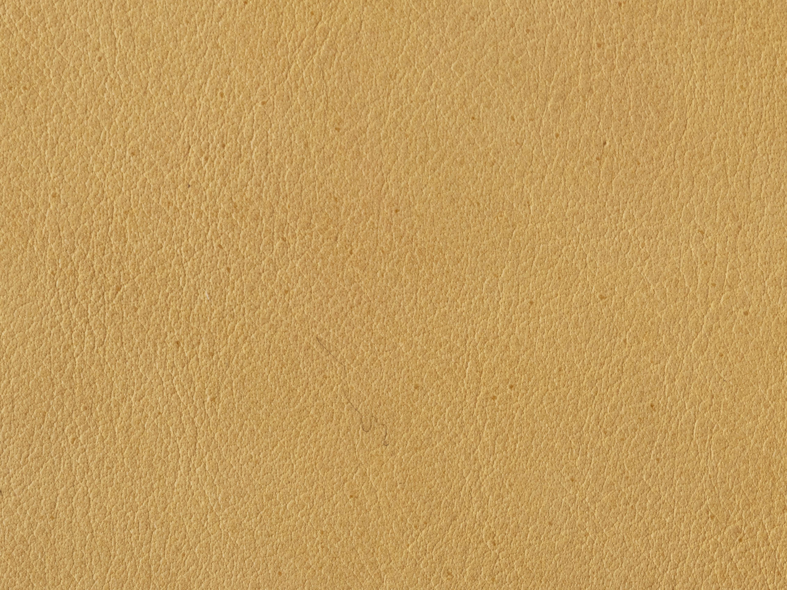 Sahara