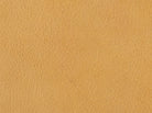 Sahara