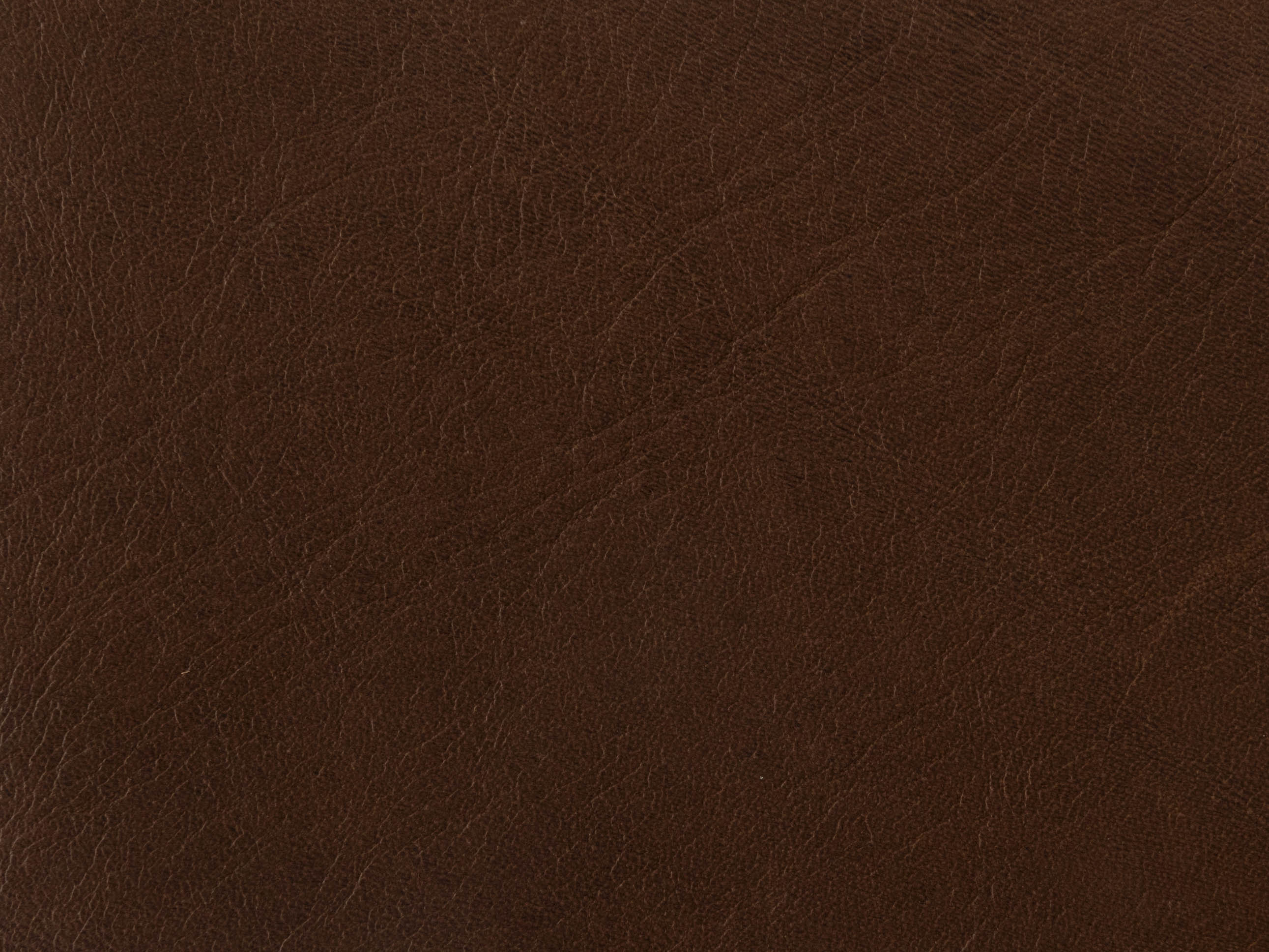 Teak