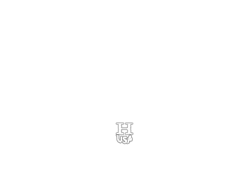 Logo Overlay