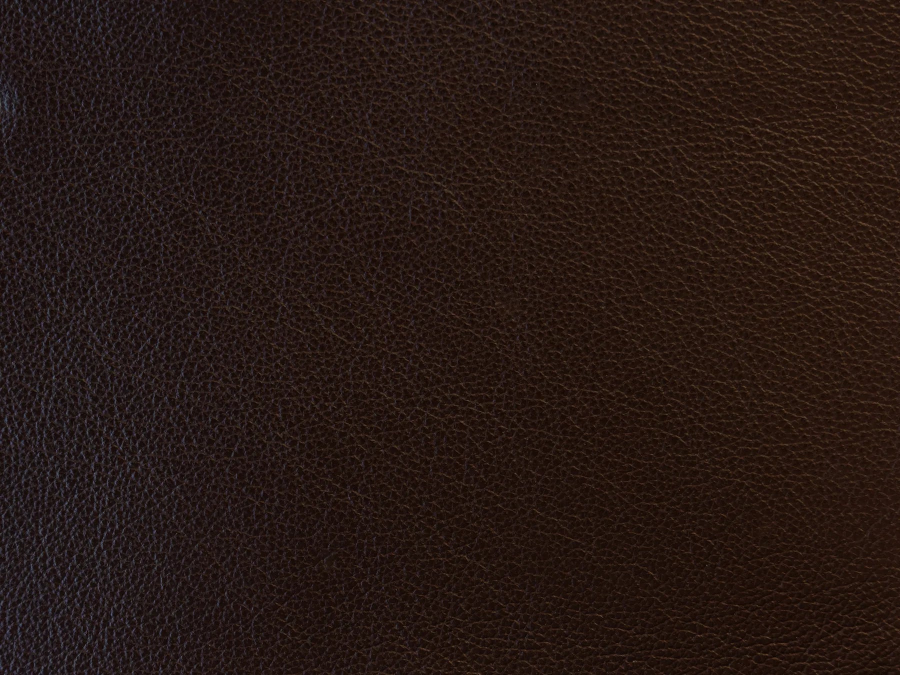 Impression - The Tannery Row
