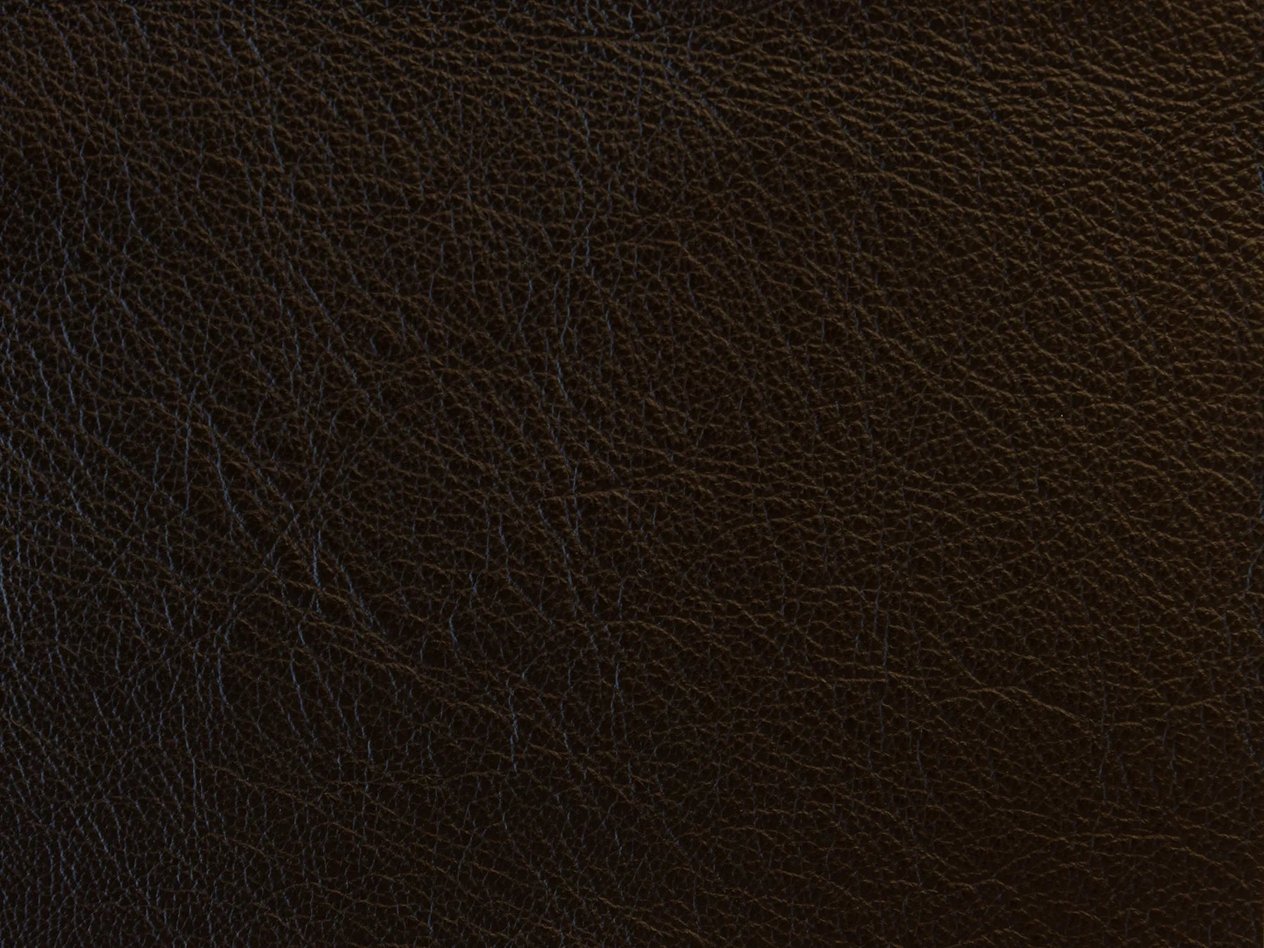 Impression - The Tannery Row