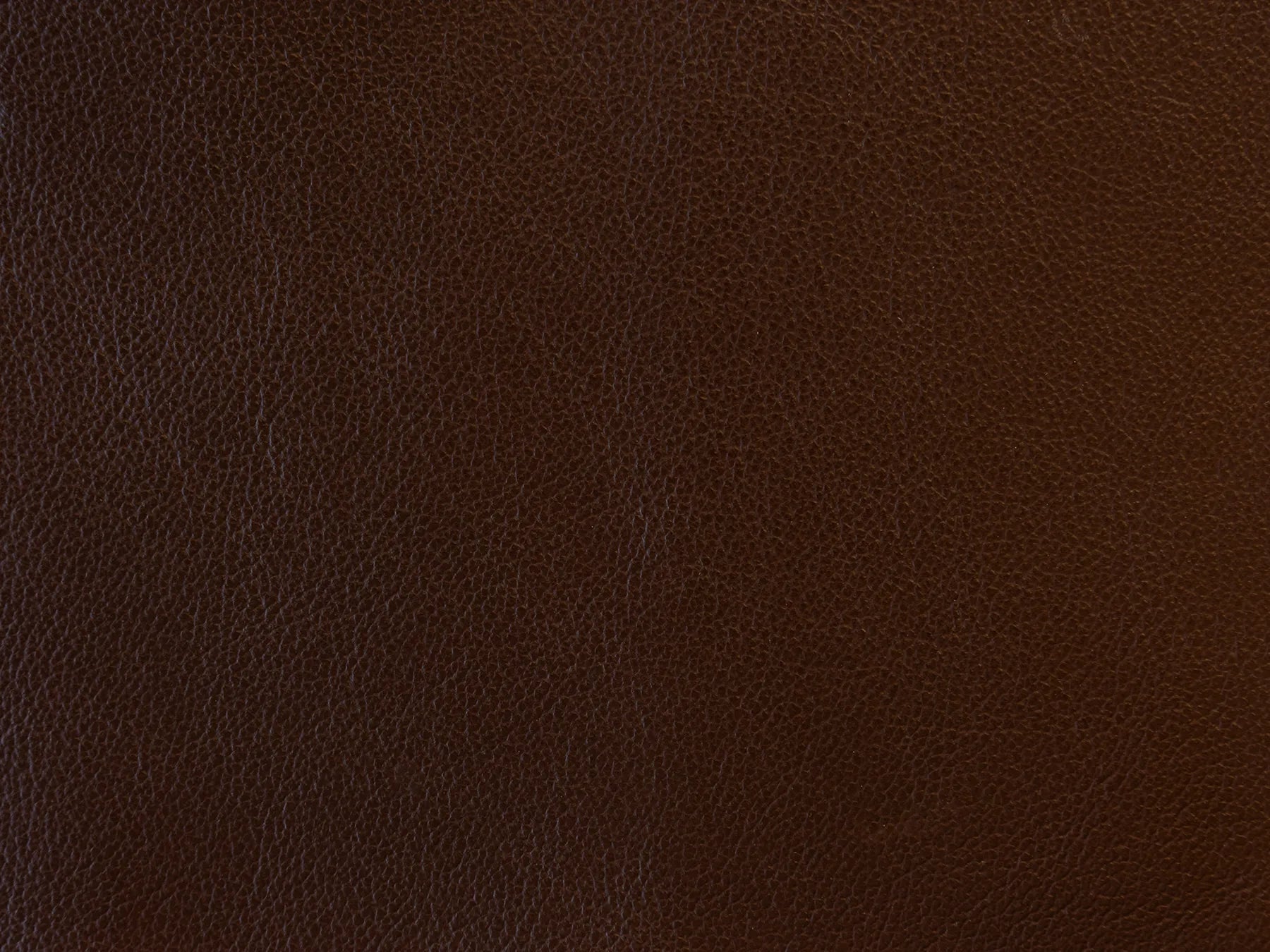 Impression - The Tannery Row