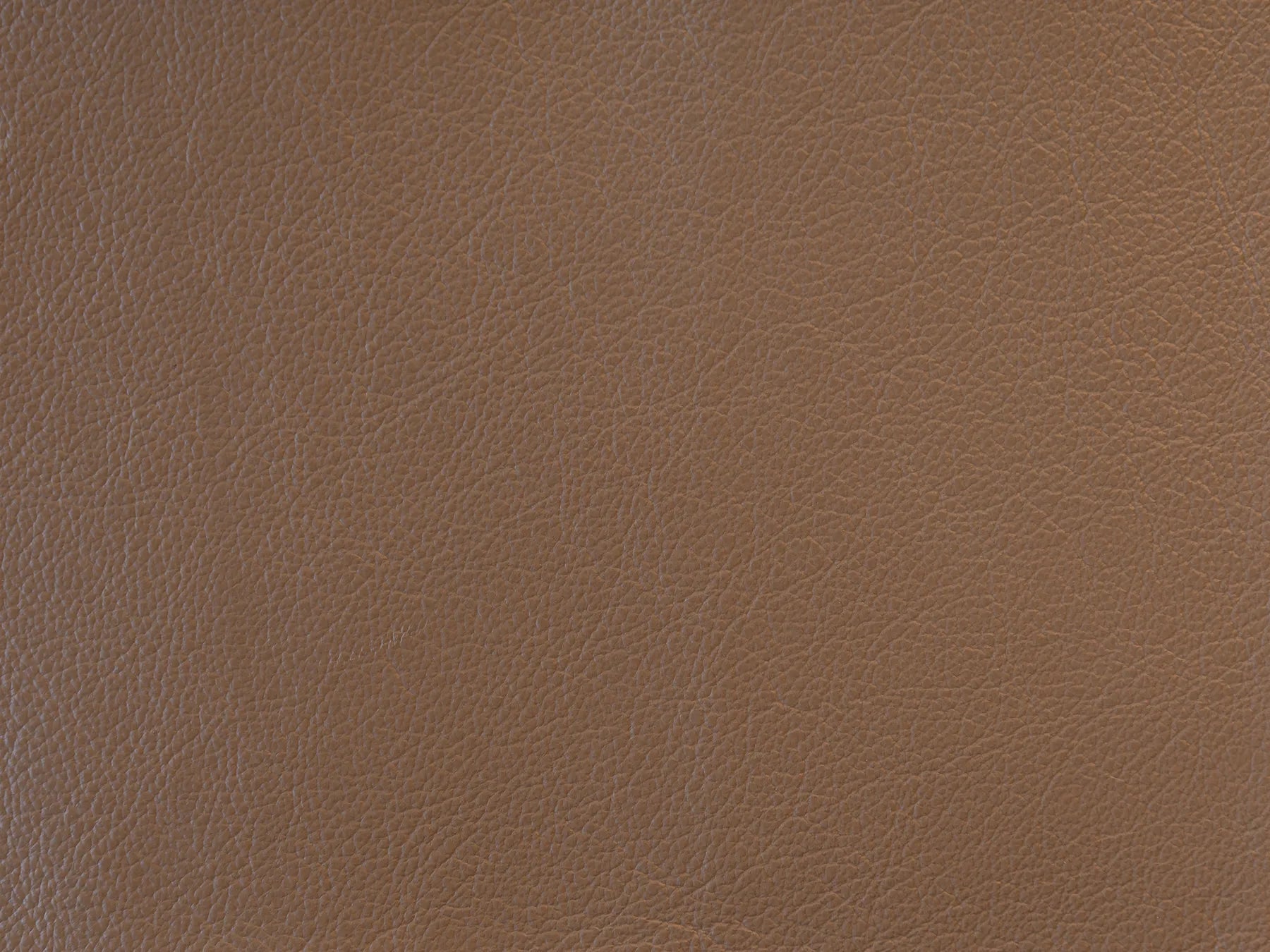 Impression - The Tannery Row