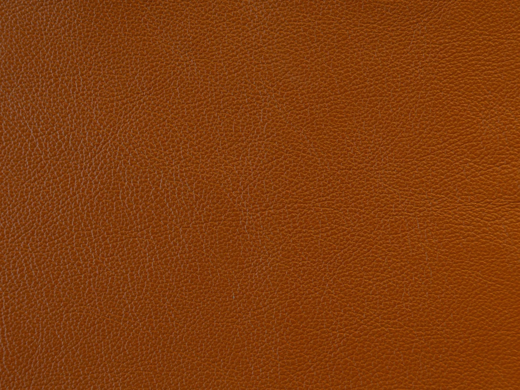 Impression - The Tannery Row