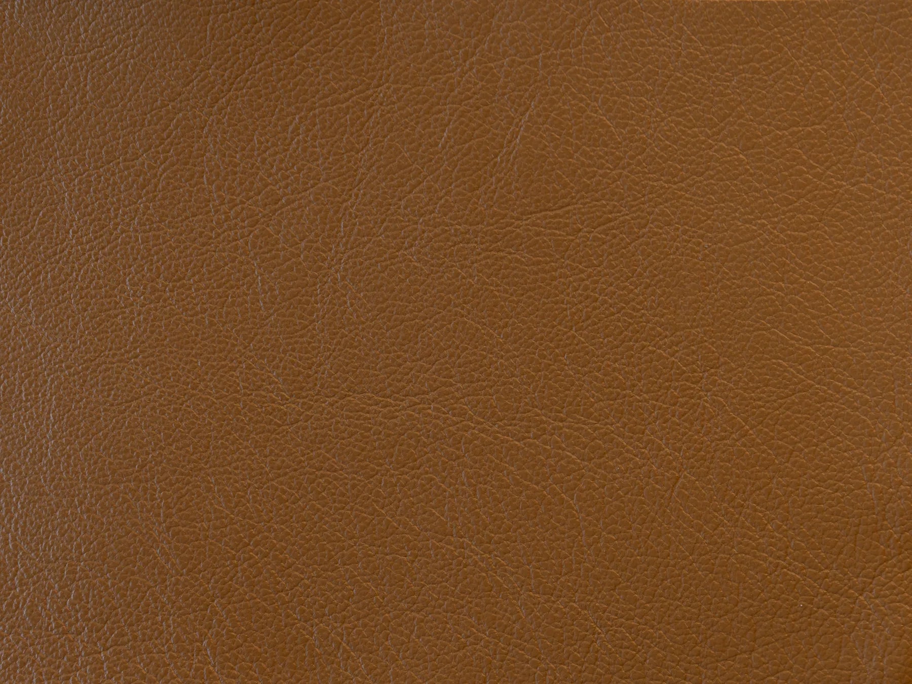 Impression - The Tannery Row