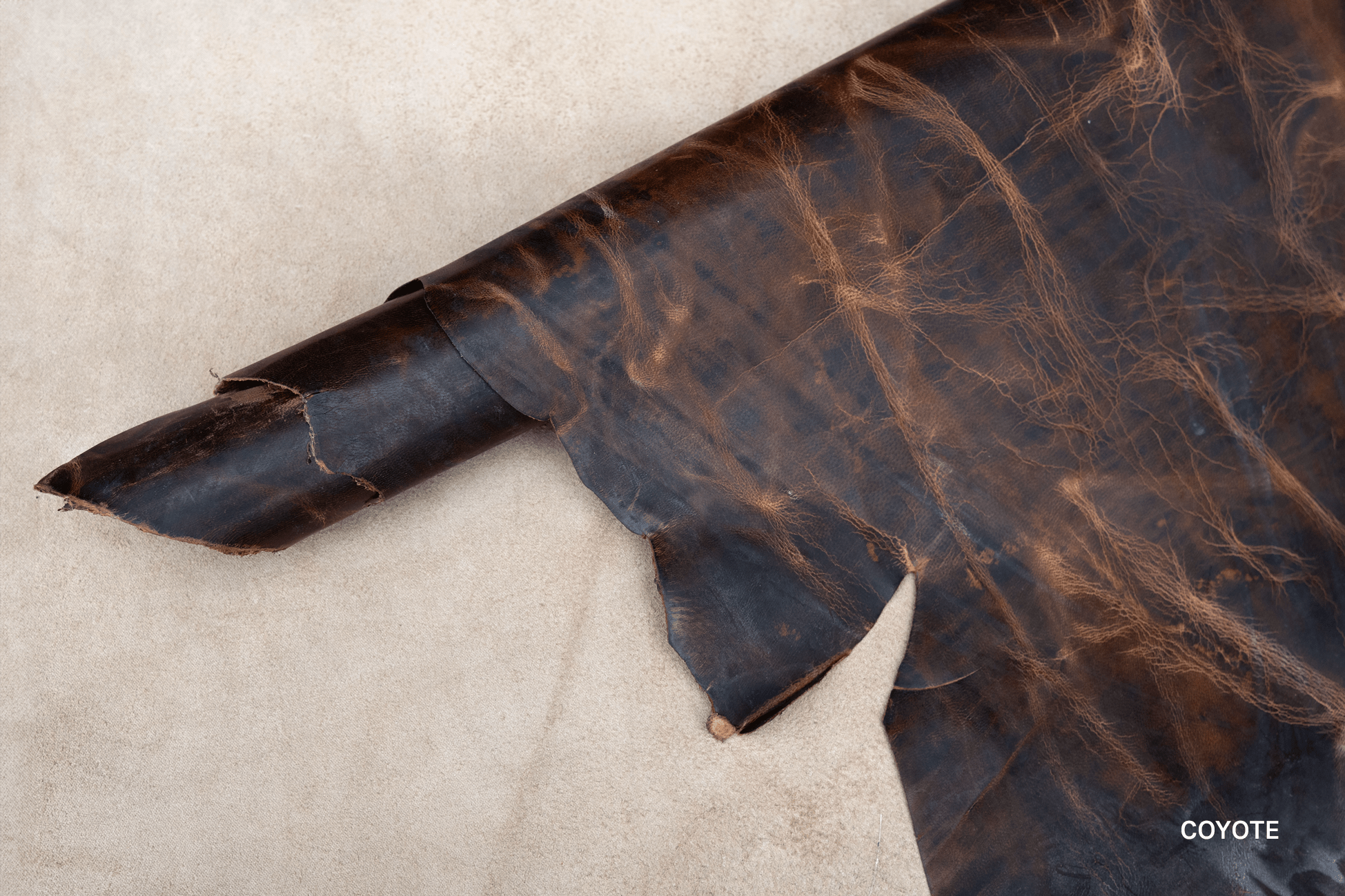Mad Dog® - The Tannery Row